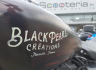 HARLEY-DAVIDSON SPORTSTER 883 BLACK PEARL CUSTOM STAGE 1